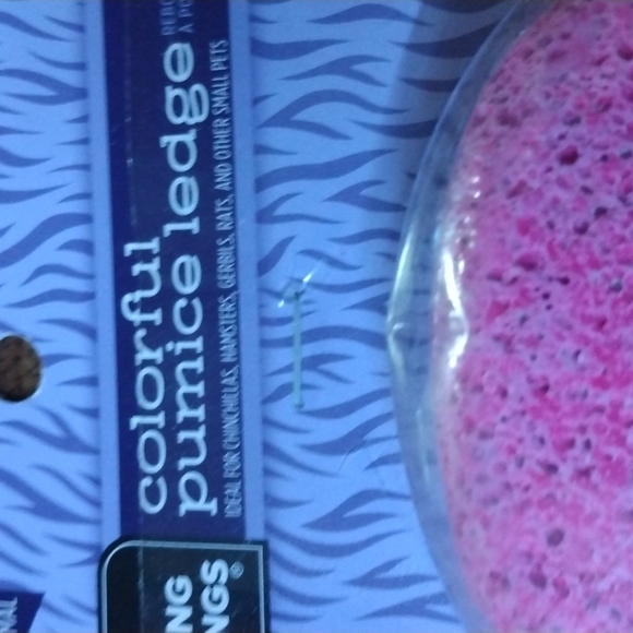 All living things small Animal colorful pumice ledge - Picture 2 of 4